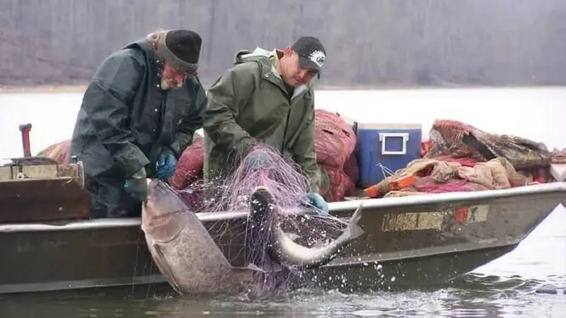 What Makes Fishing Thunderonthegulf Different from Others